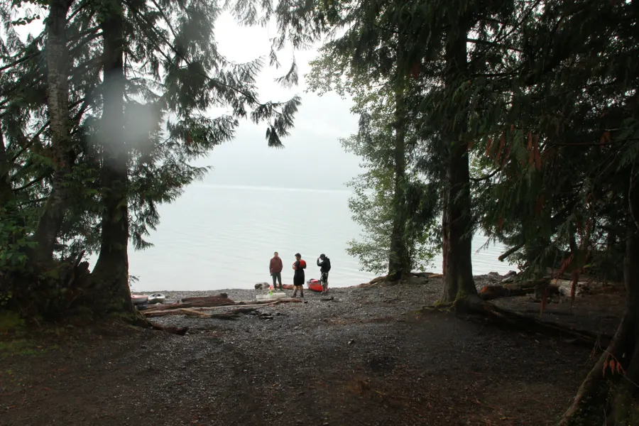 figures at the misty lakeshore under trees, 2019