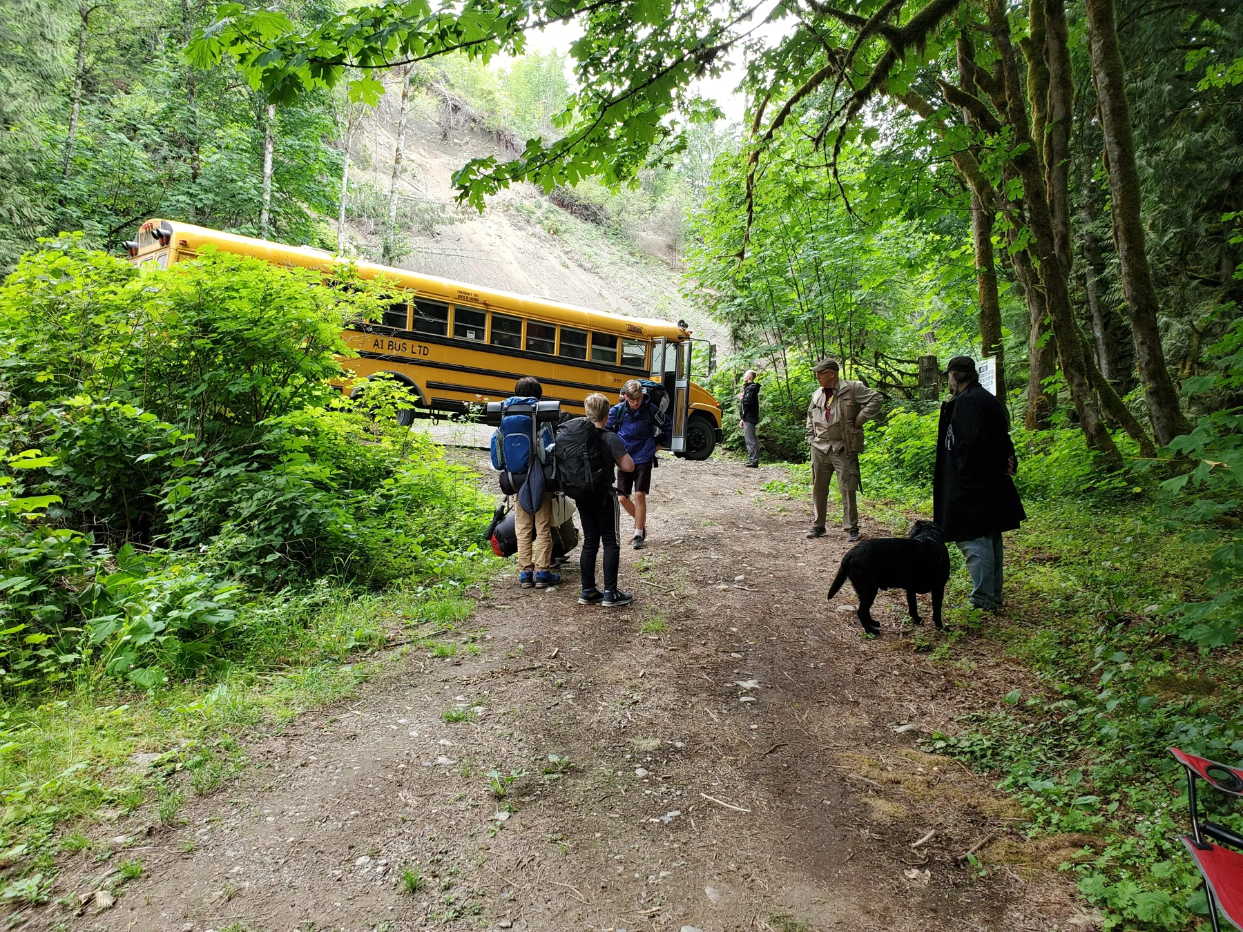 The yellow school bus arriving on the forest road