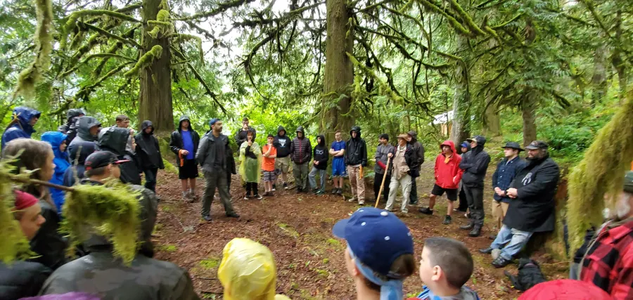 rain circle in the mossy forest wide, 2019