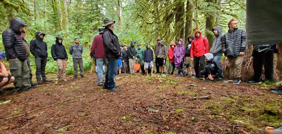 wide circle in the old growth, 2019