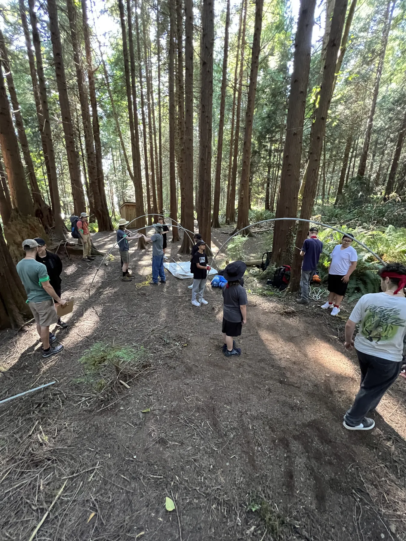 A tarp shelter going up in the forest